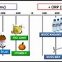 Chống Ôxy Hóa Có Nghĩa Là Gì