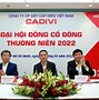 Cty Xklđ Ceo Group Việt Nam 2024 Là Ai Chưa Ạ Ạ