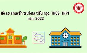 Hồ Sơ Chuyển Trường Cấp Tiểu Học Sinh Cần Những Gì