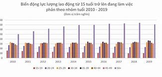 Số Lượng Lao Động Việt Nam