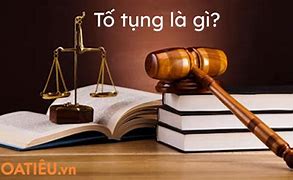 Tố Tụng Là Gì